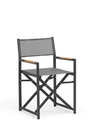 Director folding chair