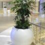Fiberglass planter - Globe 10f
